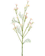 De Kunstbloem Wilde Bloem 68 cm lichtroze heeft een enkele groene steel met vederlichte bladeren en meerdere takken versierd met kleine, lichtroze bloemen, tegen een effen witte achtergrond.