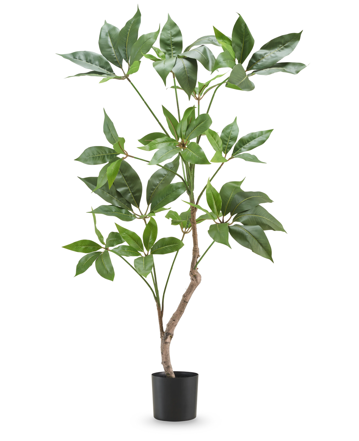 La pianta artificiale Schefflera 90 cm è una pianta artificiale alta con ampie foglie verdi e un sottile stelo marrone, esposta in un semplice vaso nero su un semplice sfondo bianco.
