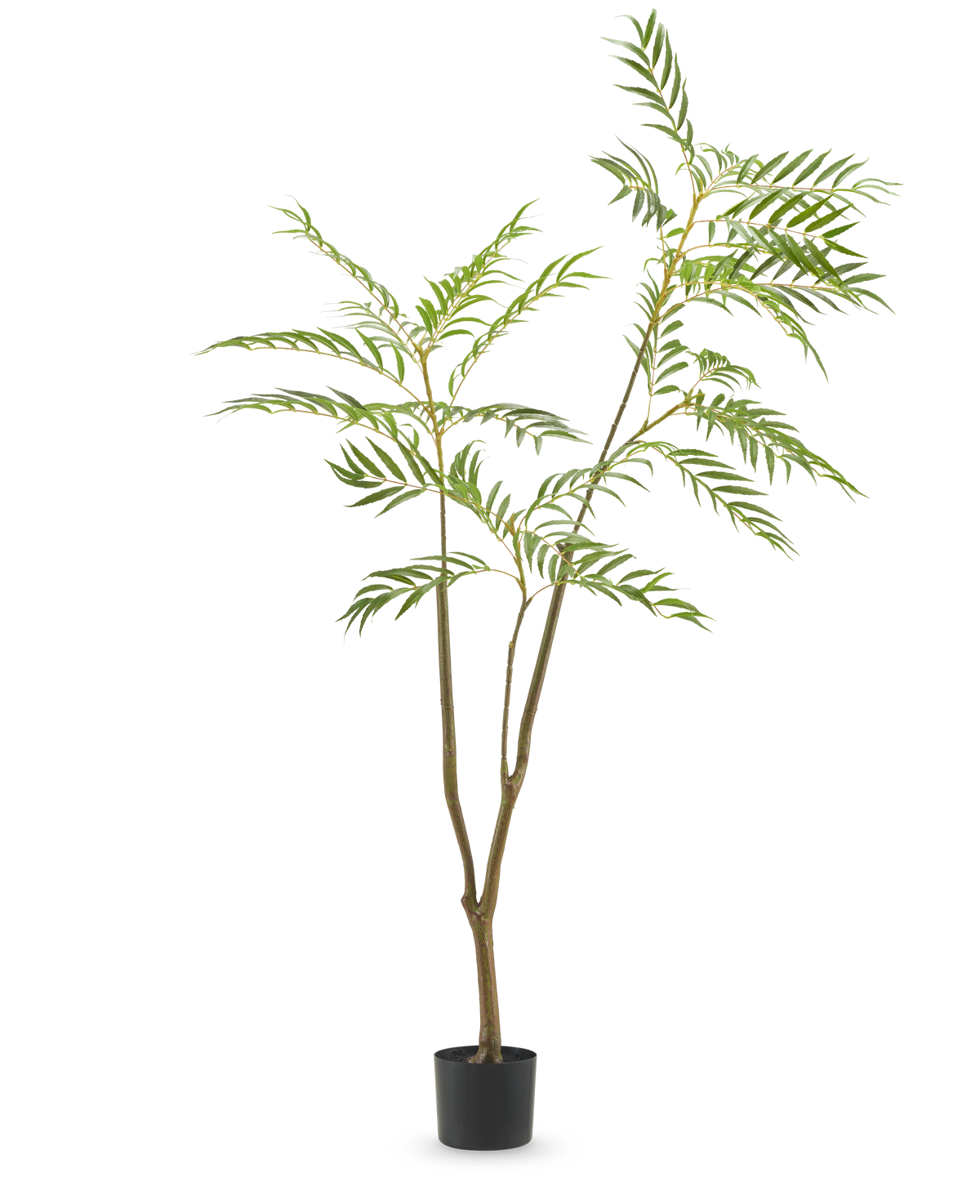 La pianta artificiale Mahonia 150 cm è un alto albero artificiale in vaso con tronchi marroni sottili e foglie verdi lunghe e strette, raffigurato su uno sfondo bianco a tinta unita.