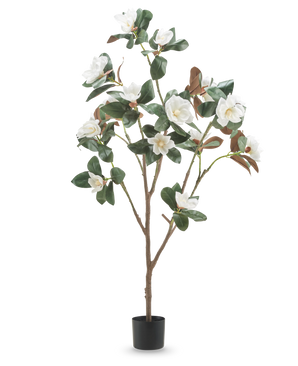 La pianta artificiale Yulania con fiore da 150 cm è un'alta magnolia artificiale con rami multipli, foglie verdi lussureggianti e fiori bianchi in un piccolo vaso nero, su uno sfondo bianco semplice.