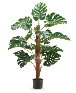 La pianta artificiale Monstera 120 cm è una pianta artificiale in vaso con grandi foglie verdi lucide e uno stelo marrone con texture su uno sfondo bianco a tinta unita.