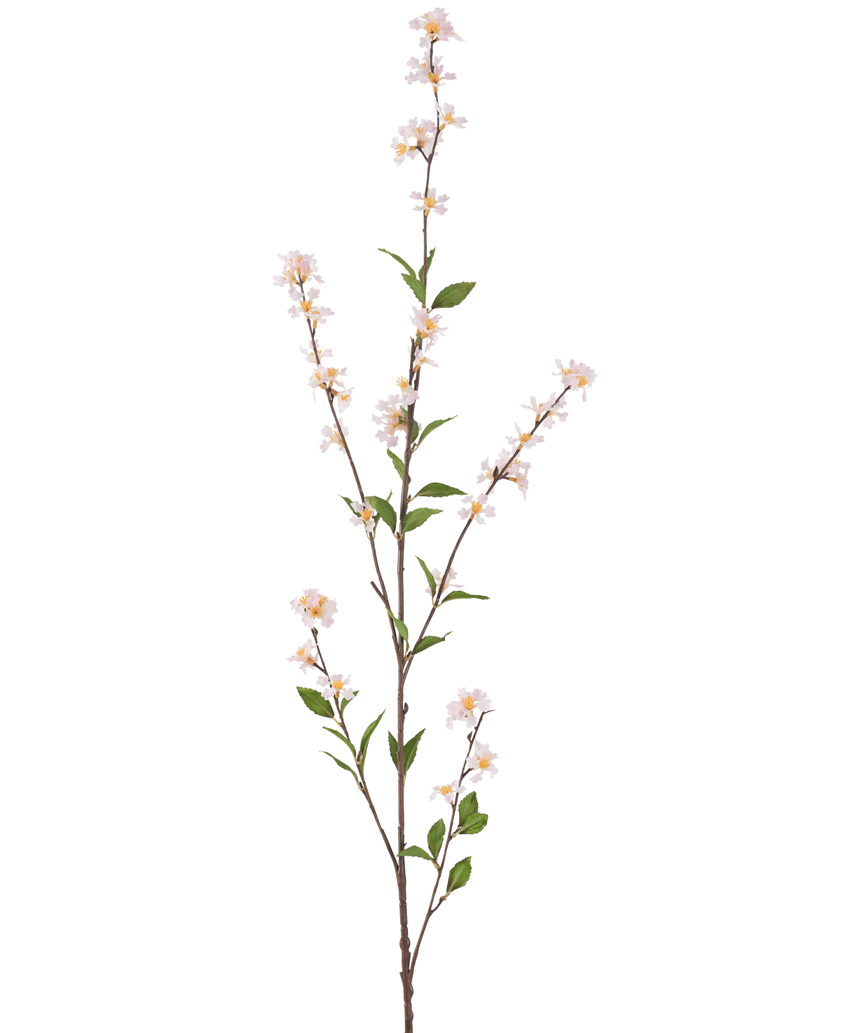 Il fiore artificiale Flowers Blush da 119 cm è un ramo artificiale alto e snello con delicati fiori bianchi e foglie verdi su tutta la lunghezza, su uno sfondo bianco semplice.