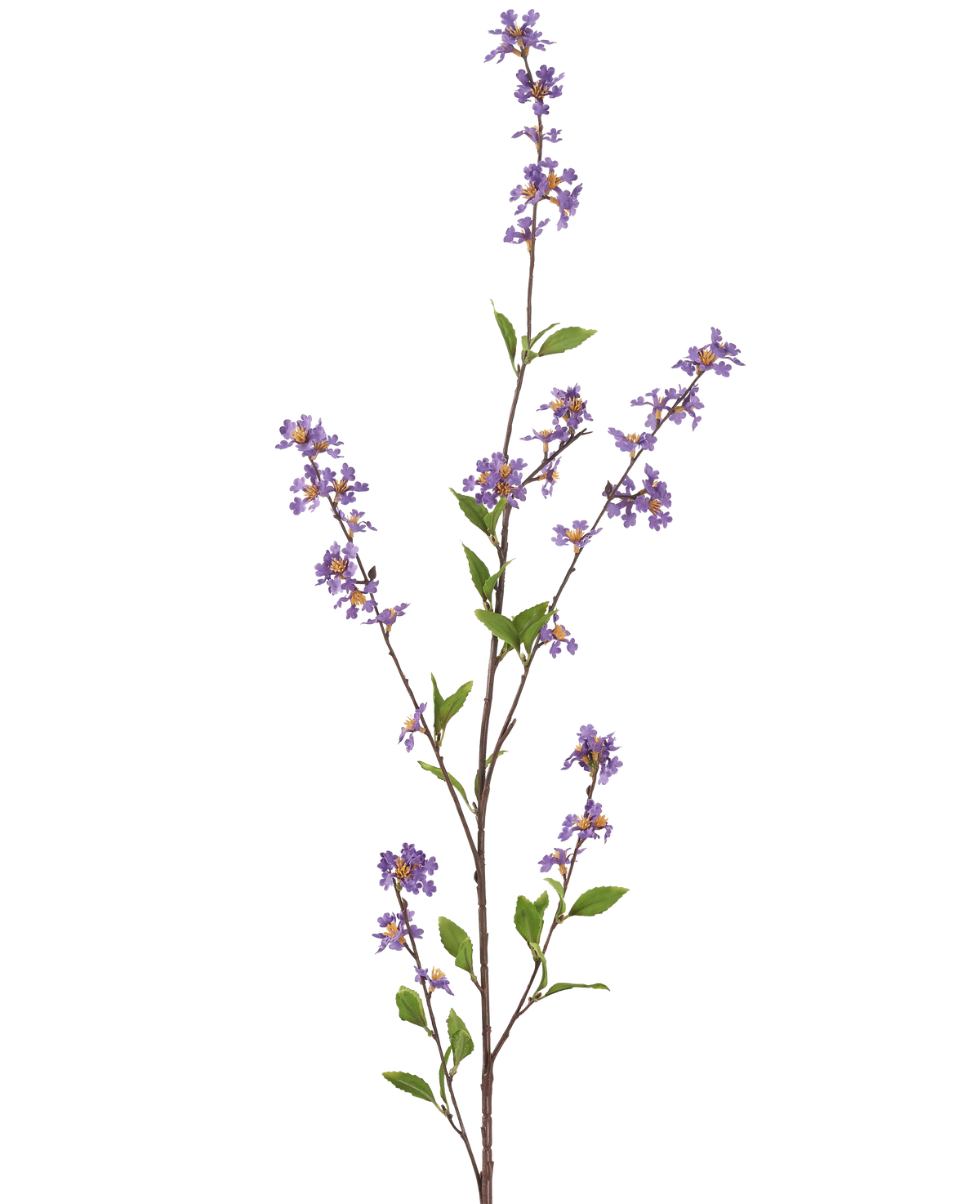 Il Fiore Artificiale Fiori Viola 119 cm ha un ramo alto e slanciato con mazzi di piccoli fiori viola e foglie verdi, perfetto per illuminare ogni stanza.