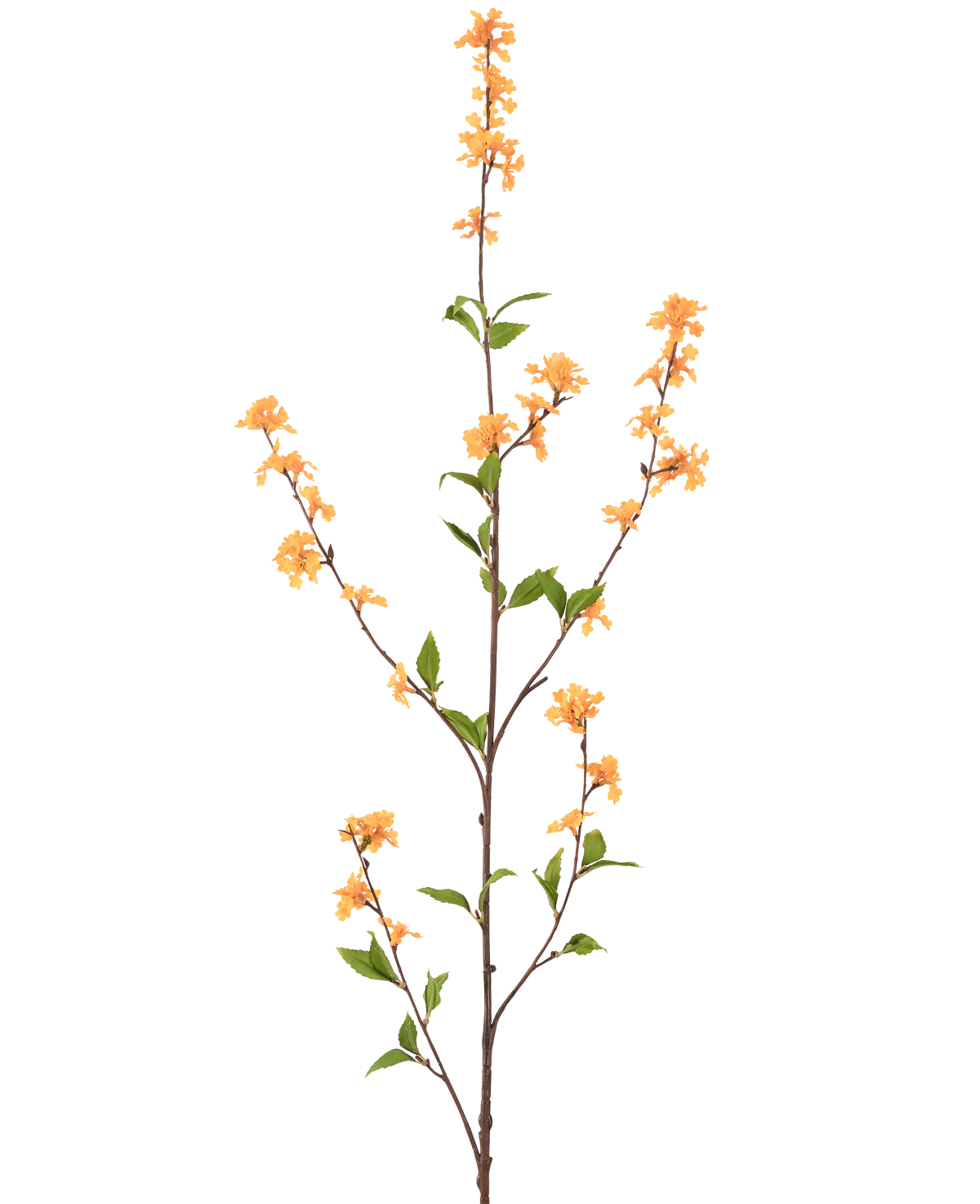 Un fiore artificiale alto e snello fiorisce di colore giallo 119 cm con diversi germogli con mazzi di piccoli fiori gialli e foglie verdi, isolati su uno sfondo bianco.