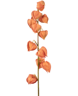 De Kunstbloem Lampionplant 79 cm oranje heeft een enkele stengel met meerdere oranje, lampionvormige bolsters, verticaal gerangschikt en lijkend op gedroogde physalis, op een effen witte achtergrond.