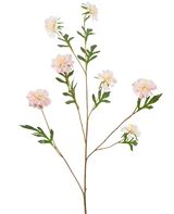 De Kunstbloem Korenbloem 112 cm lichtroze heeft een lange, dunne steel met verschillende takken, elk met lichtroze pioenachtige bloemen en groene bladeren, tegen een effen witte achtergrond.