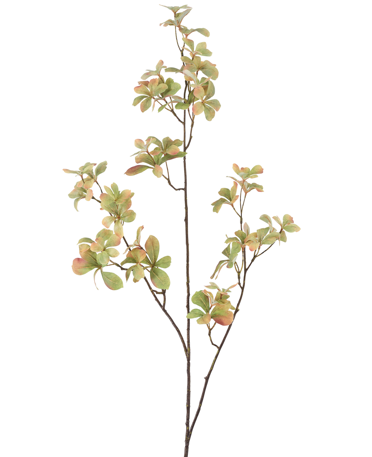 Il ramo di fiore artificiale verde da 112 cm ha uno stelo sottile e ramificato con grappoli di foglie verdi di colore rosa chiaro e color crema, su uno sfondo bianco semplice.