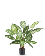 Pianta artificiale Dieffenbachia 40 cm, pianta artificiale ignifuga con foglie verde brillante e bianche in vaso nero.