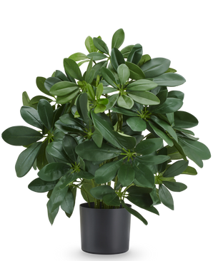 Pianta artificiale Baby Schefflera 45 cm, ignifuga, con foglie verdi lucide in vaso nero.