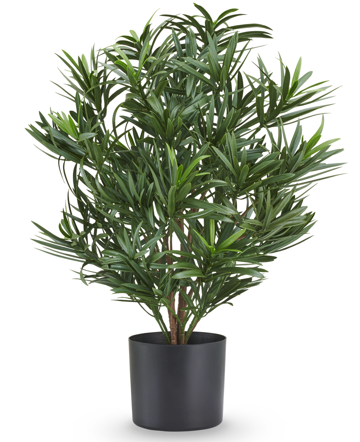 Pianta artificiale Podocarpus 47 cm, ignifuga, con sottili foglie verdi in vaso nero.