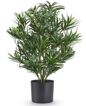 Pianta artificiale Podocarpus 47 cm, ignifuga, con sottili foglie verdi in vaso nero.
