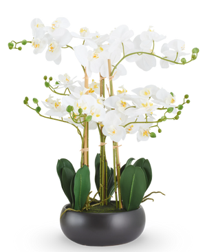 Orchidea artificiale Real Touch 50 cm bianca in vaso nero: un'orchidea artificiale Real Touch bianca con foglie verdi in un vaso rotondo nero.