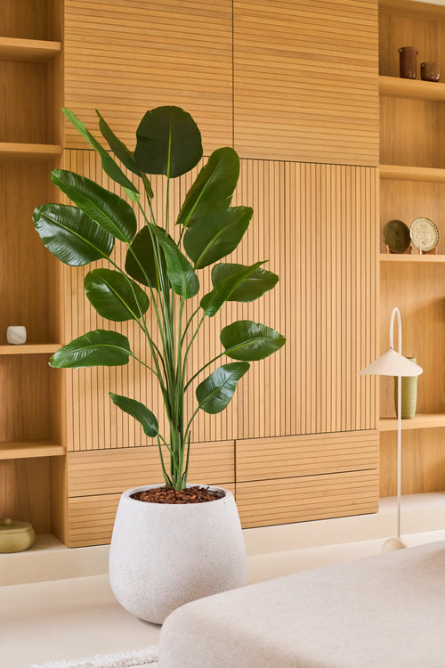 Una pianta artificiale di Strelitzia di 210 cm dall'aspetto realistico, in un vaso bianco, si trova di fronte a scaffali e armadi a muro in legno chiaro in uno spazio abitativo moderno e minimalista. Questa pianta artificiale elegante e di facile manutenzione conferisce alla stanza un aspetto realistico e di facile manutenzione.