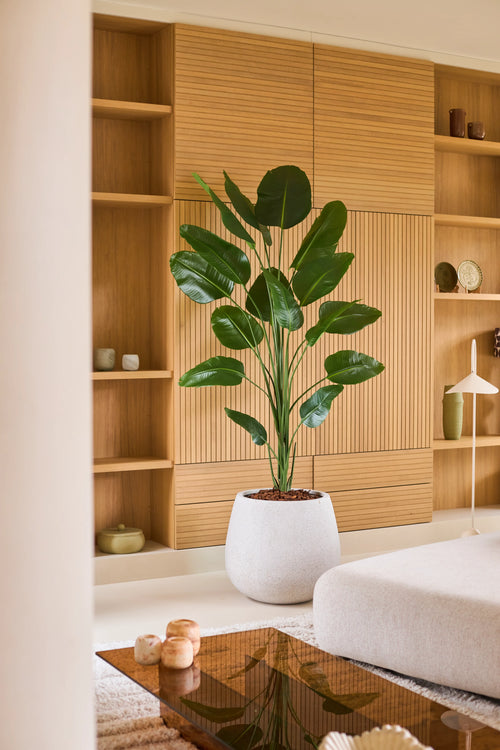 Una pianta di Strelitzia artificiale da 210 cm con finitura Real Touch svetta in un soggiorno moderno con assi di legno chiaro, arredamento minimalista e mobili neutri. Questa pianta di facile manutenzione ha una finitura Real Touch per un aspetto realistico e migliora l'atmosfera elegante e tranquilla della stanza.
