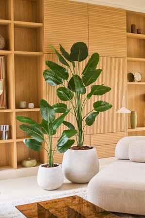 Pianta Artificiale Strelitzia 120 cm Real Touch