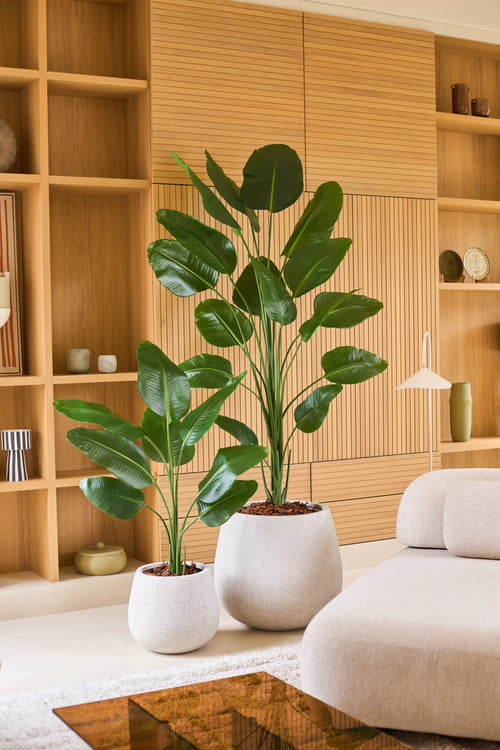 Due grandi piante tropicali in vaso con ampie foglie verdi, tra cui la pianta artificiale Strelitzia 210 cm real touch, si trovano su un pavimento chiaro davanti a una rastrelliera in legno in un soggiorno moderno e minimalista decorato in tonalità neutre. Queste aggiunte a bassa manutenzione portano una vegetazione vibrante nella stanza senza richiedere cure aggiuntive.