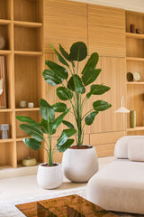 Due grandi piante tropicali in vaso con ampie foglie verdi, tra cui la pianta artificiale Strelitzia 210 cm real touch, si trovano su un pavimento chiaro davanti a una rastrelliera in legno in un soggiorno moderno e minimalista decorato in tonalità neutre. Queste aggiunte a bassa manutenzione portano una vegetazione vibrante nella stanza senza richiedere cure aggiuntive.