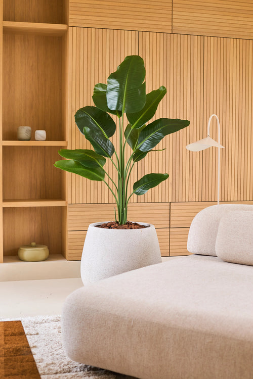 Una pianta di Strelitzia artificiale di 150 cm real touch2 con foglie realistiche si trova accanto a un moderno divano beige in una stanza con pannelli in legno e scaffali incorporati decorati con decorazioni minimaliste.