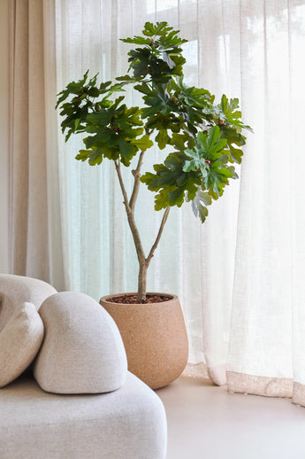 Un albero di fico artificiale Ficus Carica di 180 cm, con foglie di un verde vivace, si trova vicino a una finestra con tende bianche e trasparenti, accanto a un divano moderno e curvo beige chiaro.