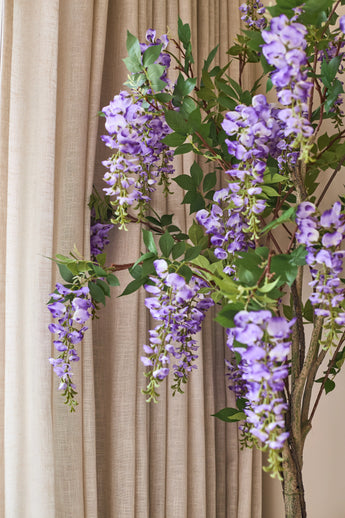 Davanti alle tende beige è appesa una pianta di glicine artificiale di 150 cm con foglie verdi.