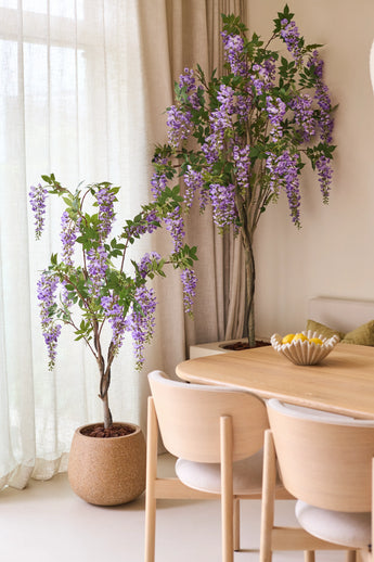 Due piante di glicine artificiale di 150 cm, con i loro fiori viola sovrastanti, stanno accanto ad un tavolo da pranzo in legno con sedie leggere. La morbida luce naturale splende attraverso le tende traslucide dietro le piante.