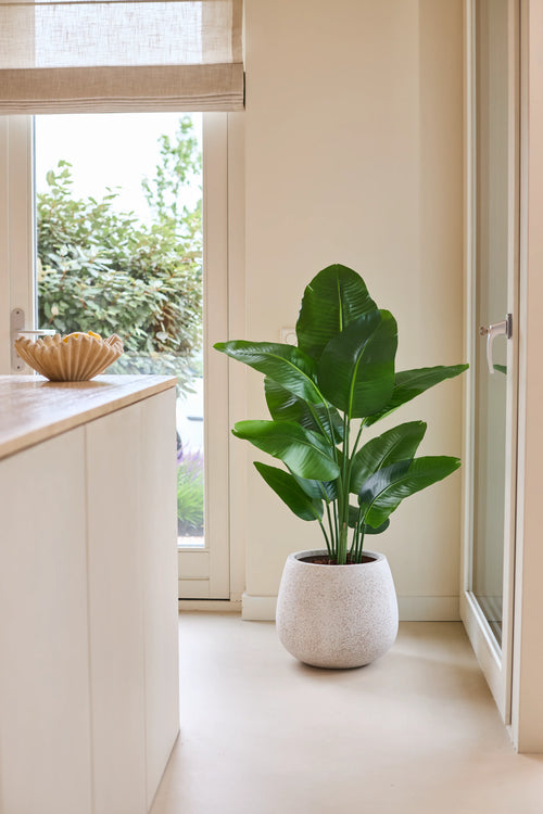 Una pianta artificiale di Strelitzia Real Touch Deluxe di 120 cm in un verde lussureggiante si trova su un pavimento chiaro accanto a una porta a vetri in una stanza moderna e luminosa con pareti neutre e un bancone in legno.