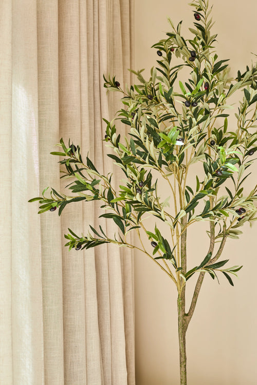 L'olivo artificiale da 180 cm, con foglie verdi rigogliose e realistiche olive nere, si trova di fronte a tende beige e a una parete dai colori neutri. La luce del sole illumina dolcemente la scena, donando allo spazio un tocco di stile mediterraneo.
