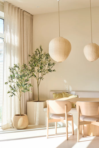 Een lichte, minimalistische kamer met grote ramen, doorschijnende gordijnen, twee potplanten – waaronder een opvallende Kunst Olijfboom van 150 cm – beige stoelen, ronde papieren lantaarns en een bank met kussens en gele kussens. Natuurlijk zonlicht vult de ruimte.