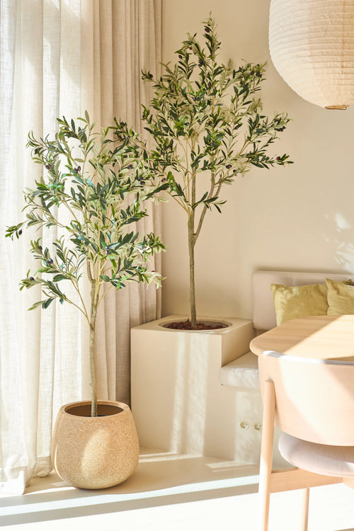 Due ulivi in ​​vaso, tra cui l'elegante Olivo Artificiale di 150 cm, stanno vicino ad una finestra con tende traslucide. La luce del sole penetra, illuminando una stanza moderna con un tavolo rotondo, una sedia in legno chiaro e morbidi cuscini verdi.