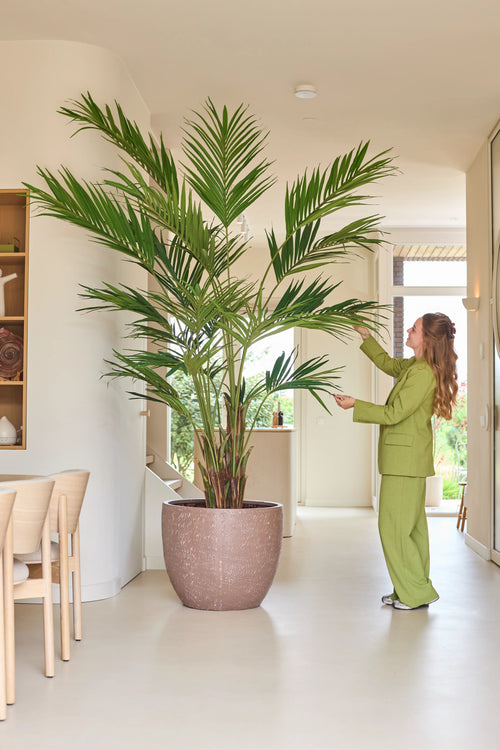 Una persona vestita di verde si trova all'interno e tocca delicatamente le lunghe foglie di una palma Kentia artificiale di 270 cm, che si trova accanto a una zona pranzo con sedie in legno chiaro.