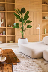 Een moderne woonkamer met een lichtbeige bank, een Kunstplant Strelitzia van 210 cm met een levensechte uitstraling die voor een levendig groen accent zorgt, een grote bruine glazen salontafel en houten inbouwplanken versierd met decoratieve voorwerpen en keramiek. Deze onderhoudsvriendelijke Kunstplant Strelitzia brengt natuurlijke schoonheid in de ruimte zonder dat er onderhoud nodig is.