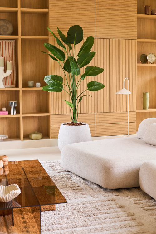 Un soggiorno moderno con un divano beige chiaro, una pianta di Strelitzia artificiale di 210 cm dall'aspetto realistico che fornisce un vibrante accento verde, un grande tavolino da caffè in vetro marrone e ripiani incorporati in legno decorati con oggetti decorativi e ceramiche. Questa pianta artificiale Strelitzia di facile manutenzione dona bellezza naturale alla stanza senza bisogno di manutenzione.