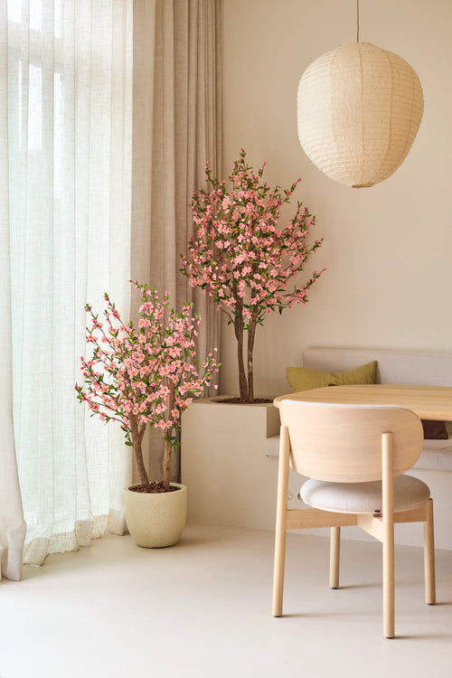Una camera minimalista con mobili in legno chiaro, tende color crema e due fiori di ciliegio artificiali di 150 cm in rosa, che forniscono fiori rosa. Sopra il tavolo da pranzo è appesa una lanterna di carta rotonda, con una sedia imbottita e una panca incorporata.