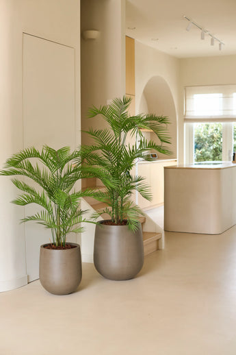 Due piante di palma in vaso, tra cui la sorprendente pianta artificiale Phoenix da 160 cm in moderni vasi grigi, siedono su un pavimento chiaro in un interno beige minimalista con luce naturale che filtra attraverso una grande finestra, perfetta per aggiungere un tocco di piante tropicali a un interno lussuoso.