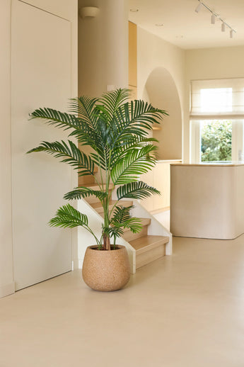 Een Kunstplant Phoenix van 160 cm staat op een lichte vloer in een moderne, minimalistische ruimte met zacht natuurlijk licht, gebogen architectonische elementen en neutrale tinten – een moeiteloze interieurupgrade die de charme van tropische planten naar binnen haalt.