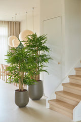 Twee Kunstplant Bamboe-potplanten van 120 cm staan naast een lichte houten trap in een licht, modern interieur met grote ramen, lichte gordijnen, ronde papieren lantaarns en een neutrale inrichting.