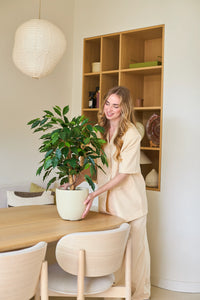 Piante Finte Ficus Verde 90 cm