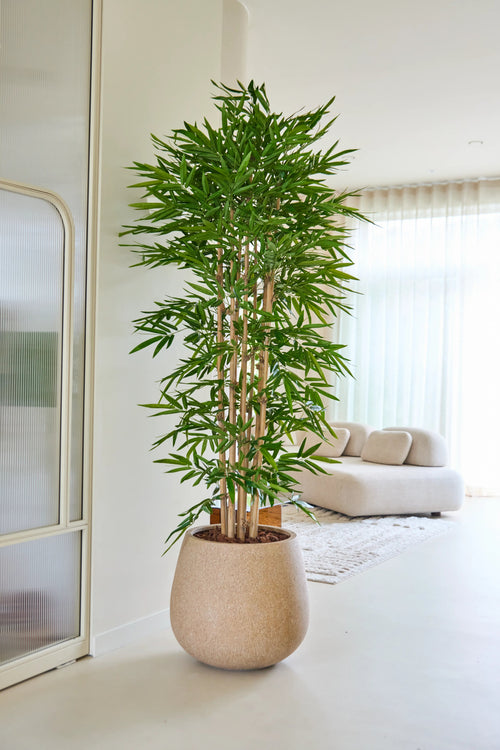 La pianta artificiale di bambù 210 cm si trova in un soggiorno luminoso e moderno con un divano beige, tende bianche e un arredamento minimalista.