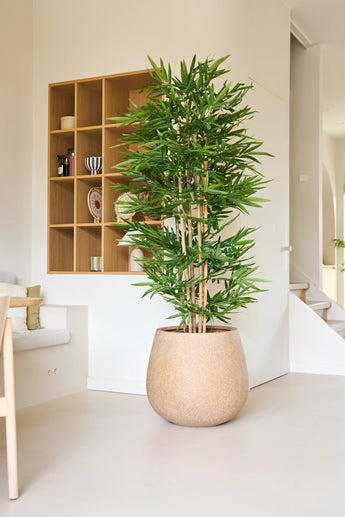 De Kunstplant Bamboe 180 cm, met zijn hoge gestalte en slanke groene bladeren, staat in een moderne, minimalistische kamer met lichte muren, open rekken en een neutrale inrichting.