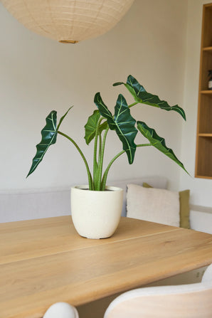 La pianta di Alocasia artificiale di 80 cm, con grandi foglie verdi, troneggia su un tavolo di legno chiaro in una stanza minimalista con luci soffuse e un arredamento neutro.