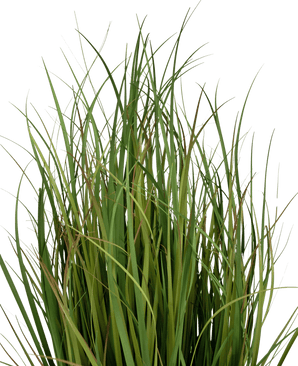Erba artificiale Dogtail onion grass Bran 90cm ignifugo