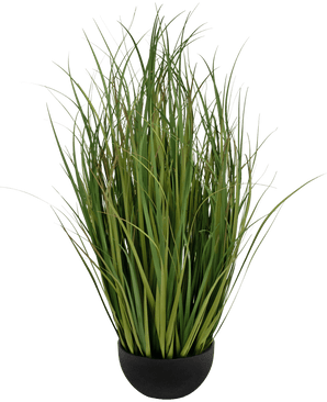 Erba artificiale Dogtail onion grass Bran 90cm ignifugo