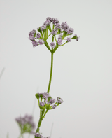 Erba artificiale Fiore di porro Erba di cipolla vaso 100 cm ignifugo