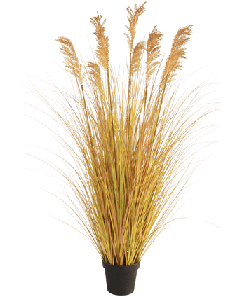 Erba artificiale Sorgo 150 cm