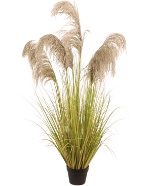Erba della Pampa artificiale 150 cm