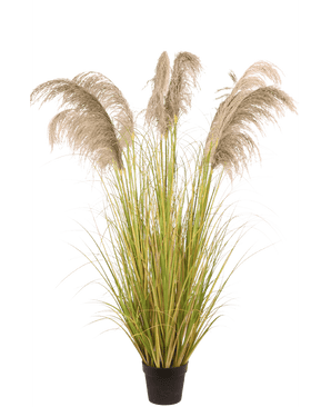 Erba della Pampa artificiale 170 cm