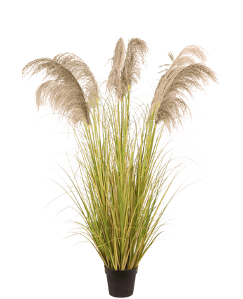 Erba della Pampa artificiale 170 cm