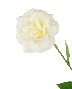 Eustoma artificiale Real Touch Bianco 72cm