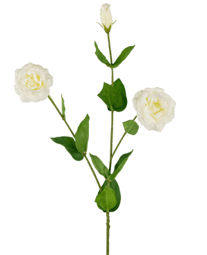 Eustoma artificiale Real Touch Bianco 72cm