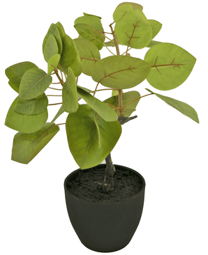 Ficus Tropica artificiale da 12 cm in vaso ornamentale nero